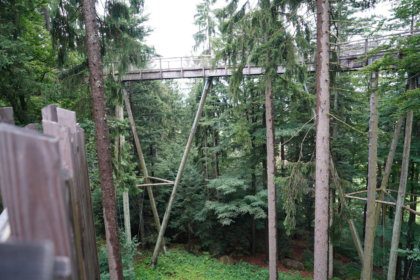 Baumwipfelpfad