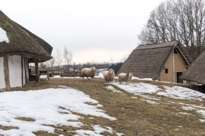 Dorfanlage