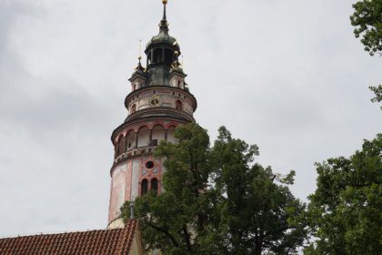 DSC05831