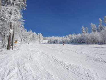 DSCN0367